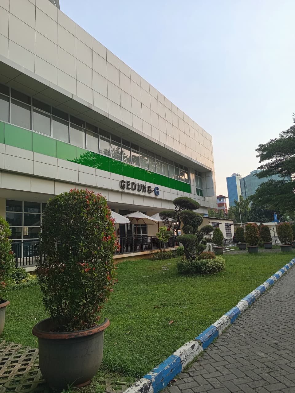 Perawatan Taman Profesional